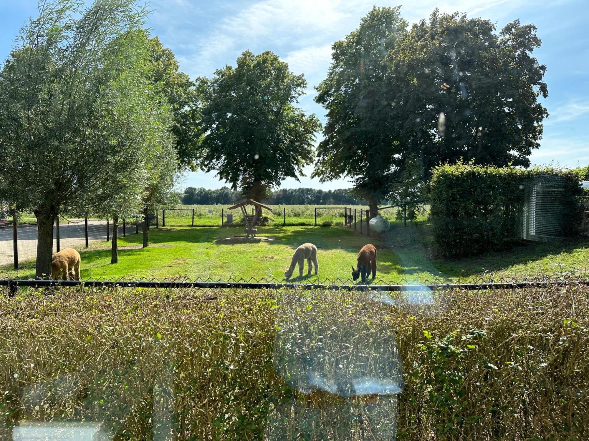 Alpacafarm Vorstenbosch 外观 照片