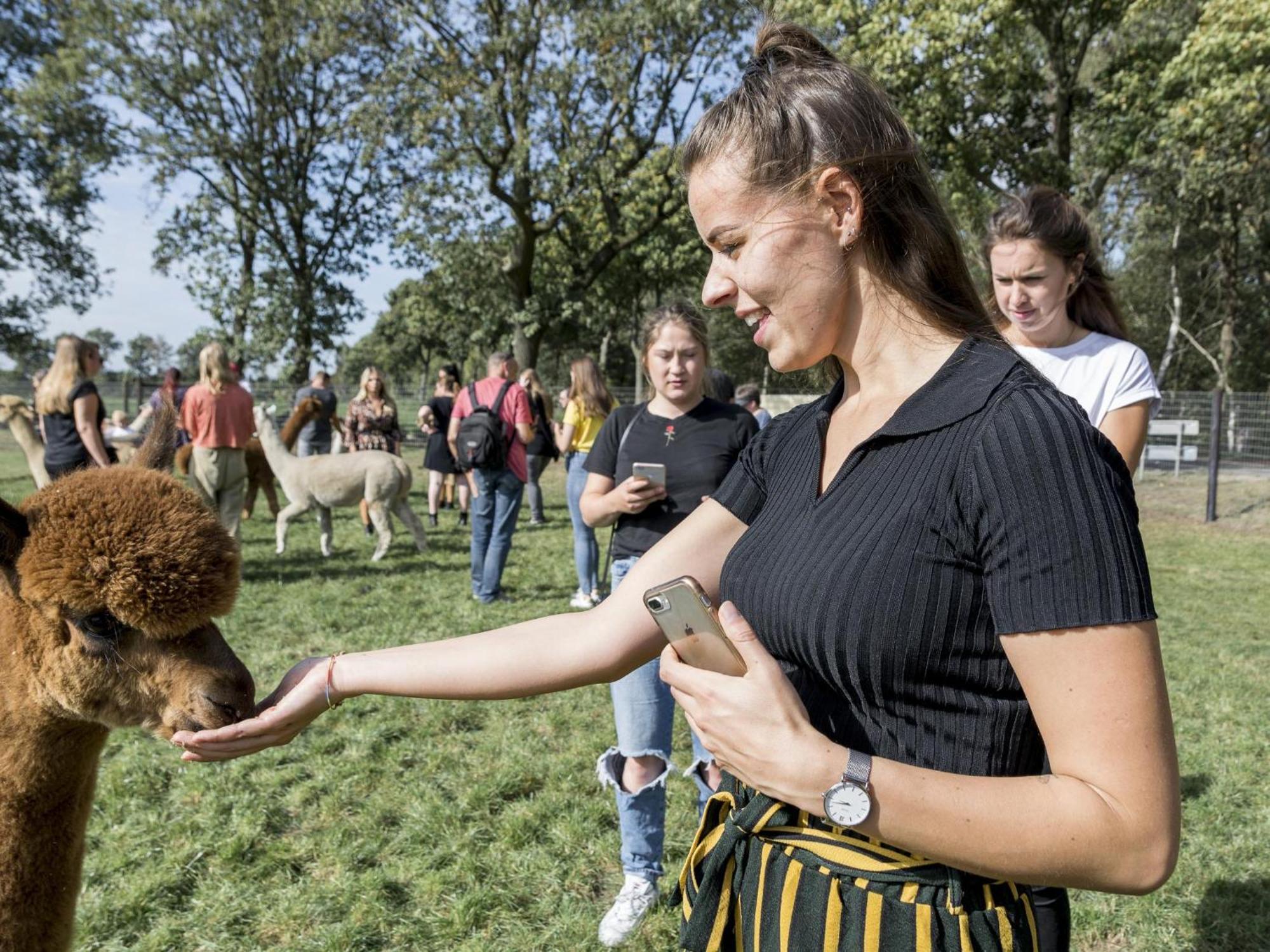 Alpacafarm Vorstenbosch 外观 照片