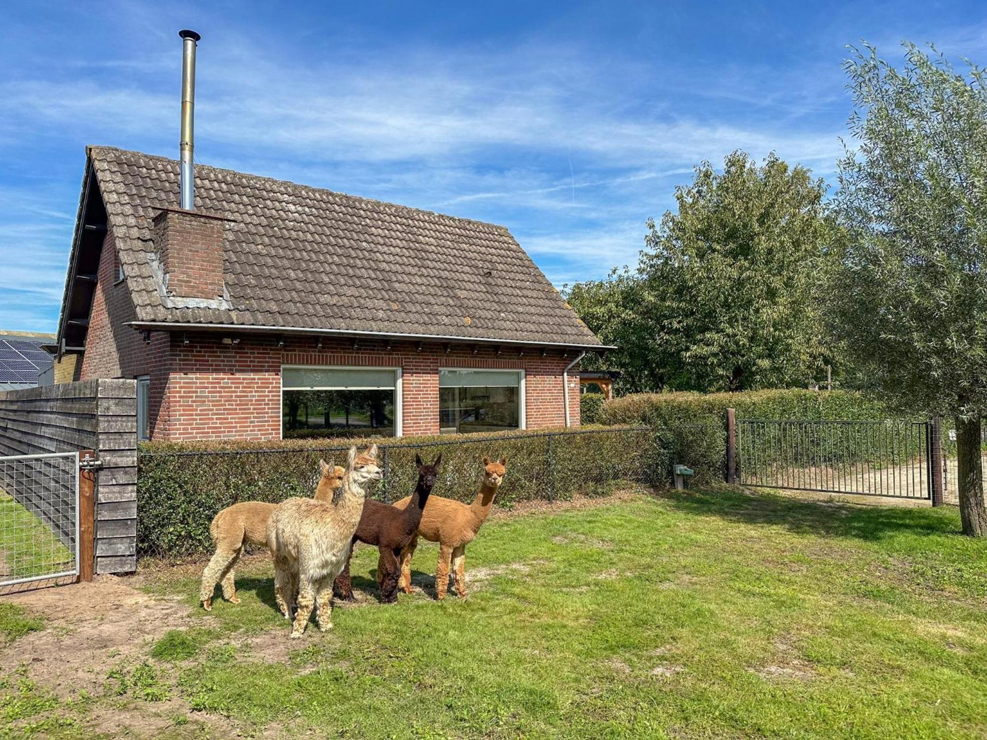 Alpacafarm Vorstenbosch 外观 照片