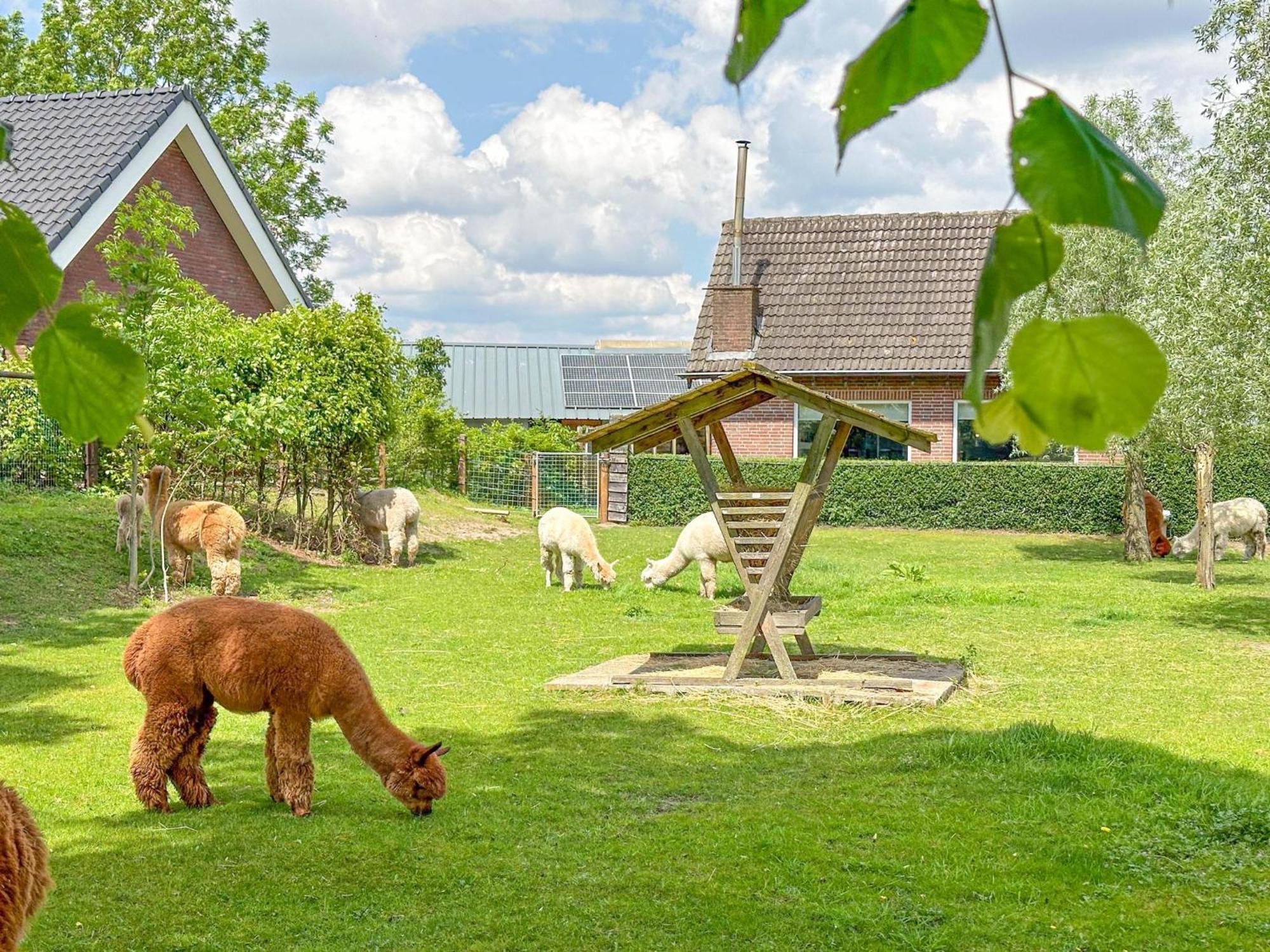 Alpacafarm Vorstenbosch 外观 照片